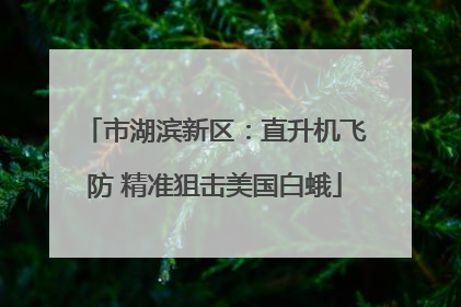 市湖滨新区：直升机飞防 精准狙击美国白蛾