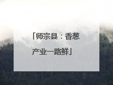 师宗县：香葱产业一路鲜