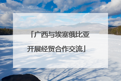 广西与埃塞俄比亚开展经贸合作交流
