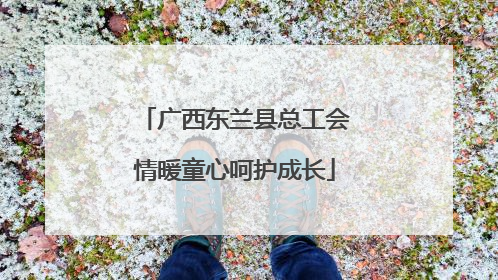 广西东兰县总工会情暖童心呵护成长