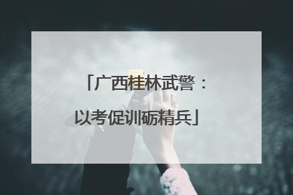 广西桂林武警：以考促训砺精兵