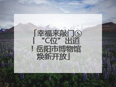 幸福来敲门⑤丨“C位”出道！岳阳市博物馆焕新开放