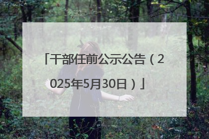 干部任前公示公告（2025年5月30日）