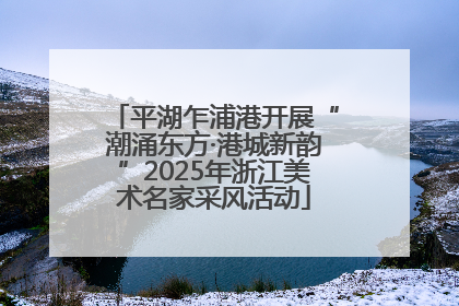 平湖乍浦港开展“潮涌东方·港城新韵”2025年浙江美术名家采风活动