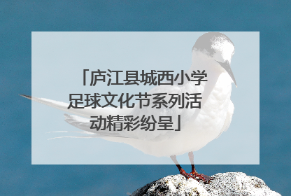 庐江县城西小学足球文化节系列活动精彩纷呈