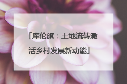 库伦旗：土地流转激活乡村发展新动能