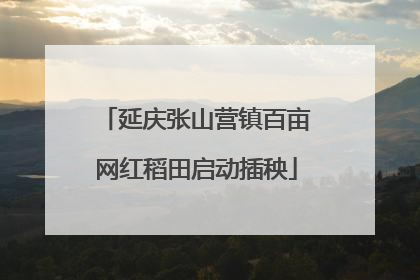 延庆张山营镇百亩网红稻田启动插秧