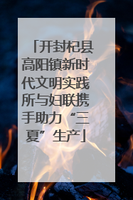 开封杞县高阳镇新时代文明实践所与妇联携手助力“三夏”生产