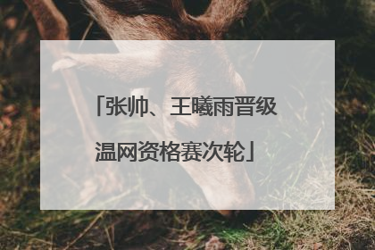 张帅、王曦雨晋级温网资格赛次轮