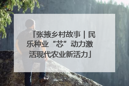 张掖乡村故事｜民乐种业“芯”动力激活现代农业新活力
