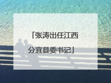 张涛出任江西分宜县委书记