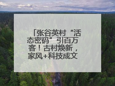 张谷英村“活态密码”引百万客！古村焕新，家风+科技成文旅融合新爆点