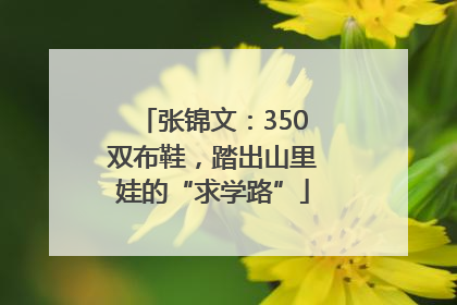 张锦文：350双布鞋，踏出山里娃的“求学路”