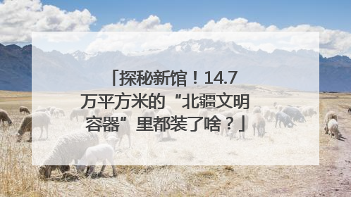 探秘新馆！14.7万平方米的“北疆文明容器”里都装了啥？