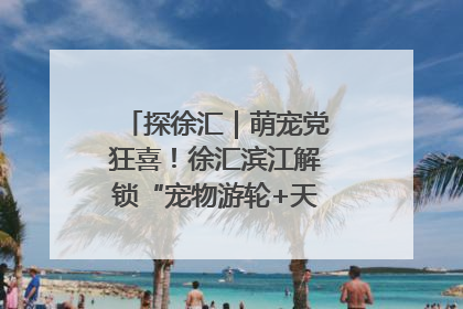 探徐汇｜萌宠党狂喜！徐汇滨江解锁“宠物游轮+天台乐园”双玩法
