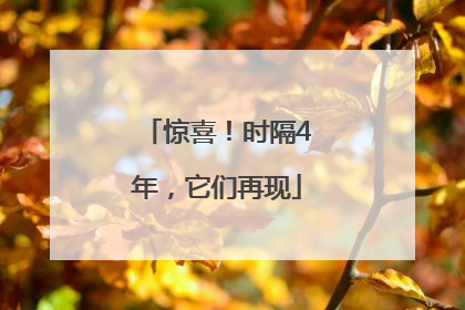 惊喜！时隔4年，它们再现