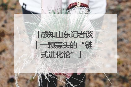 感知山东记者谈｜一颗蒜头的“链式进化论”