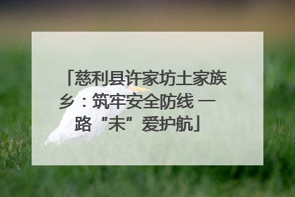 慈利县许家坊土家族乡：筑牢安全防线 一路“未”爱护航