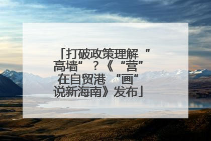 打破政策理解“高墙”？《“营”在自贸港 “画”说新海南》发布