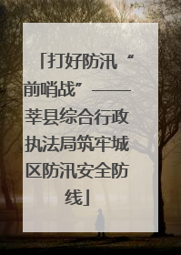 打好防汛“前哨战”——莘县综合行政执法局筑牢城区防汛安全防线