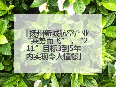 扬州新城航空产业“乘势而飞”，“211”目标3到5年内实现令人憧憬