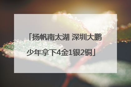 扬帆南太湖 深圳大鹏少年拿下4金1银2铜