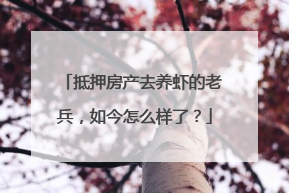 抵押房产去养虾的老兵，如今怎么样了？