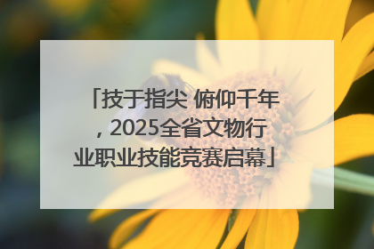 技于指尖 俯仰千年，2025全省文物行业职业技能竞赛启幕