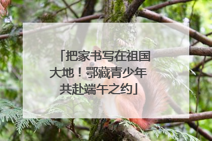 把家书写在祖国大地！鄂藏青少年共赴端午之约