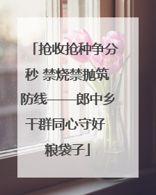 抢收抢种争分秒 禁烧禁抛筑防线——郎中乡干群同心守好 粮袋子