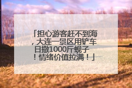 担心游客赶不到海，大连一景区用铲车日撒1000斤蚬子！情绪价值拉满！