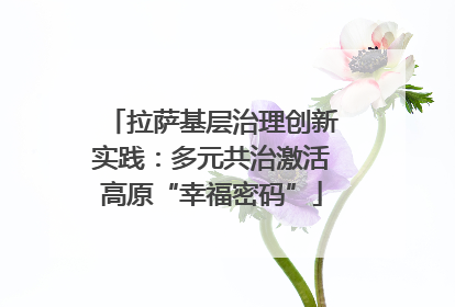拉萨基层治理创新实践：多元共治激活高原“幸福密码”