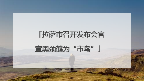 拉萨市召开发布会官宣黑颈鹤为“市鸟”