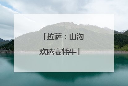 拉萨：山沟欢腾赛牦牛