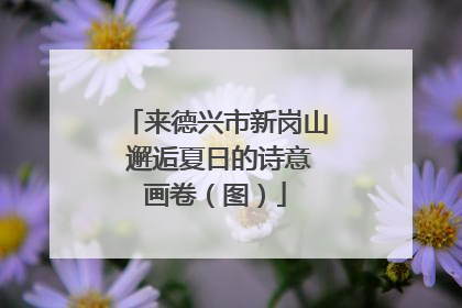 来德兴市新岗山 邂逅夏日的诗意画卷（图）