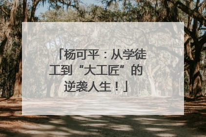 杨可平：从学徒工到“大工匠”的逆袭人生！