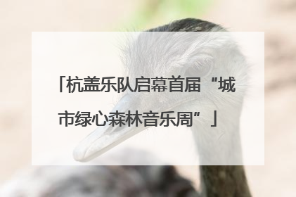 杭盖乐队启幕首届“城市绿心森林音乐周”