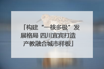 构建“一核多极”发展格局 四川宜宾打造产教融合城市样板
