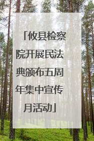 攸县检察院开展民法典颁布五周年集中宣传月活动