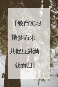 教育实习携梦而来 共促互进满载而归