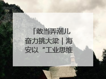 敢当弄潮儿 奋力挑大梁｜海安以“工业思维”拓宽共富路