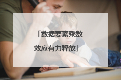 数据要素乘数效应有力释放