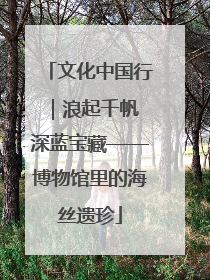 文化中国行｜浪起千帆 深蓝宝藏——博物馆里的海丝遗珍
