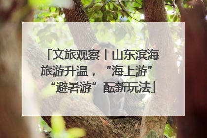 文旅观察丨山东滨海旅游升温，“海上游”“避暑游”酝新玩法