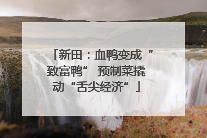 新田：血鸭变成“致富鸭” 预制菜撬动“舌尖经济”