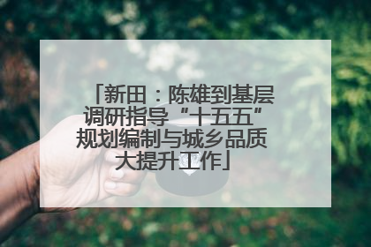 新田：陈雄到基层调研指导“十五五”规划编制与城乡品质大提升工作
