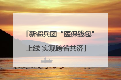 新疆兵团“医保钱包”上线 实现跨省共济
