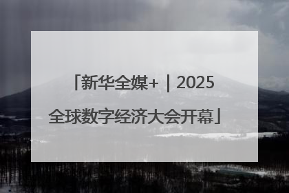 新华全媒+｜2025全球数字经济大会开幕