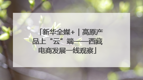 新华全媒+｜高原产品上“云”端——西藏电商发展一线观察