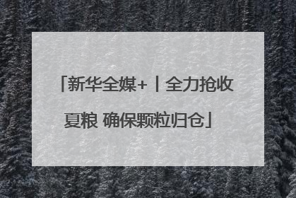 新华全媒+丨全力抢收夏粮 确保颗粒归仓
